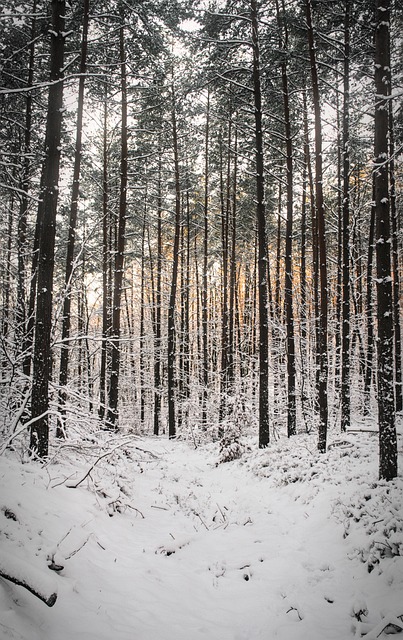 Секретные тропы: уникальные маршруты для любителей пеших походов